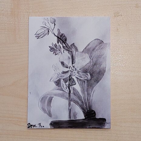 Kaartenserie  'Tussen kunst en kaart'